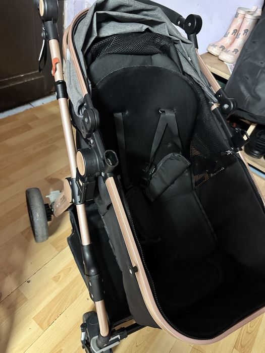 Carucior 2 in 1