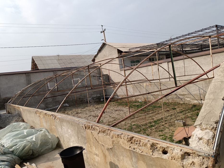 Теплица. Иссикхона.