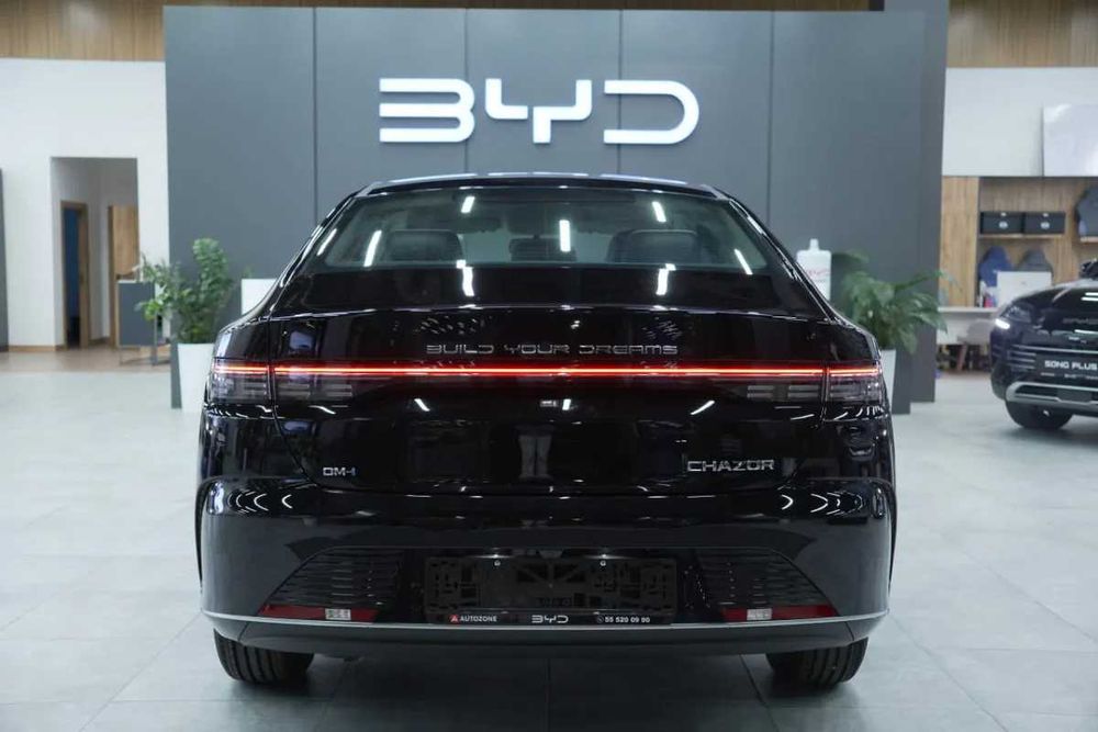 BYD Chazor Active 55 km