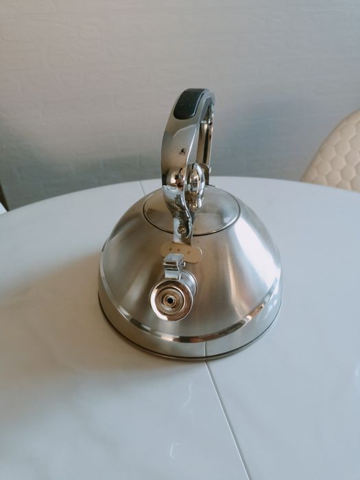 Чайник для плиты новый