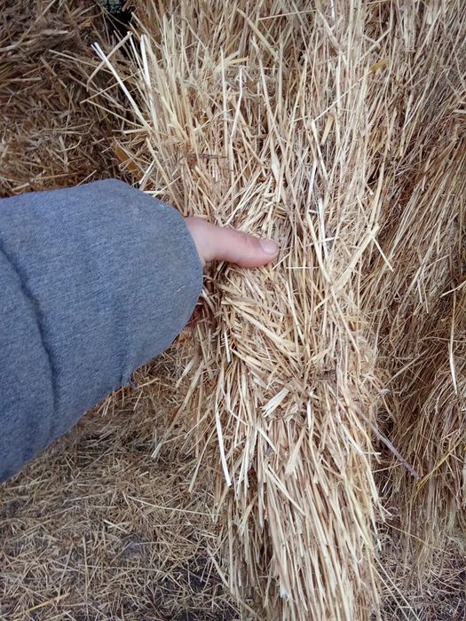 Vând baloți de fan