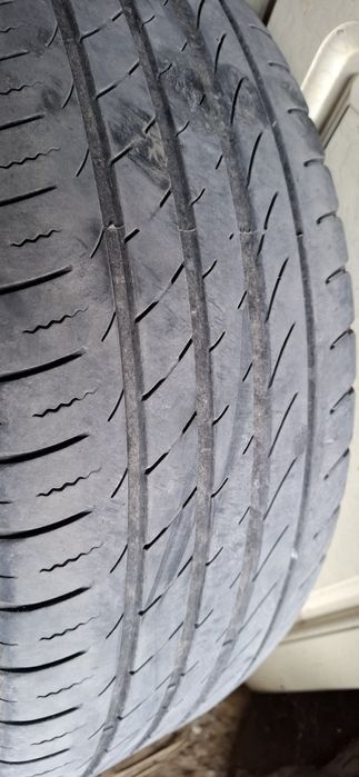 Шины летние. ЗЕКСТУР.