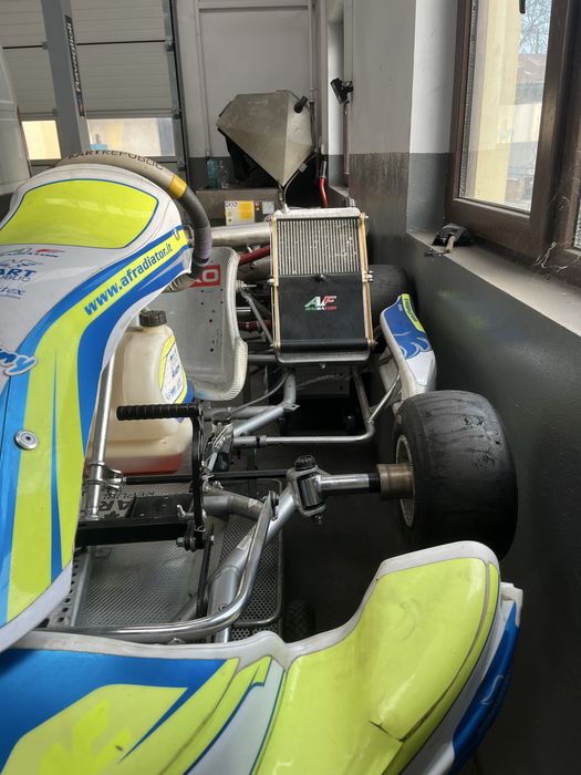 Kart republic kr2-iame reedster
