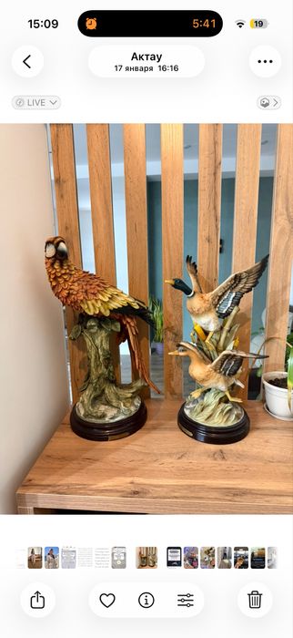 Статуэтки попугай и утки. Красивый декор для дома