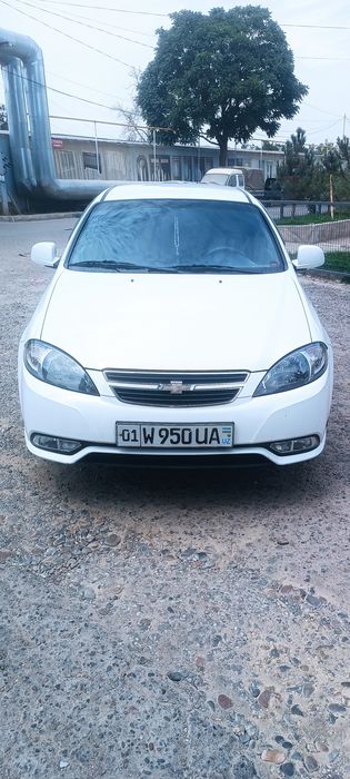 moshina jentera rangi oq