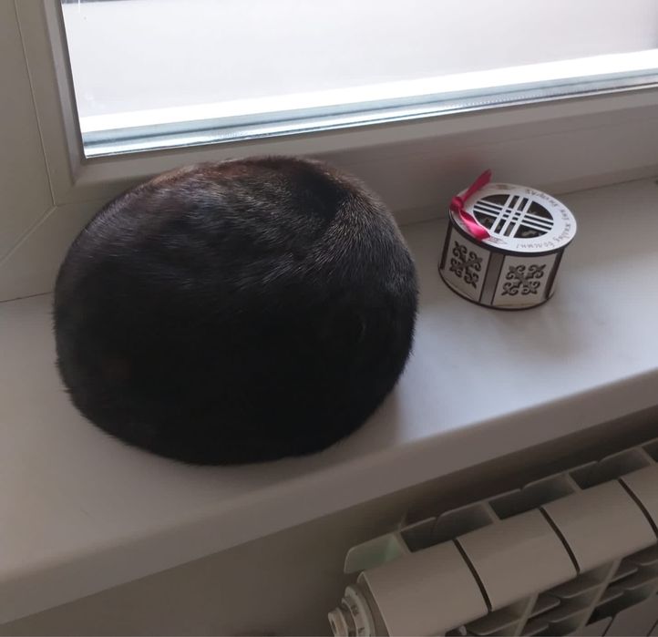 Продаю норковую шапку, 58 р