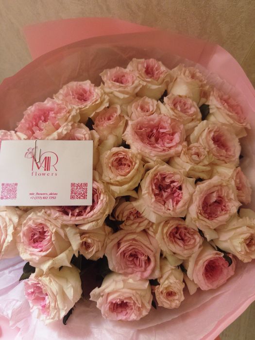 Гүл сатылады 31 шт