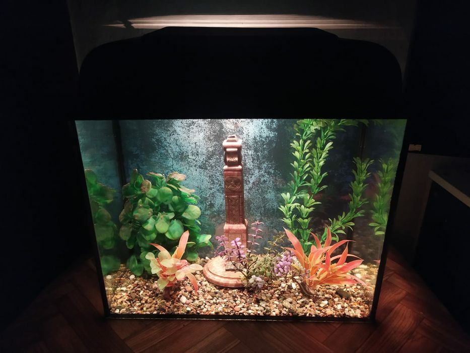 Новый аквариум + комплект и рыбки.