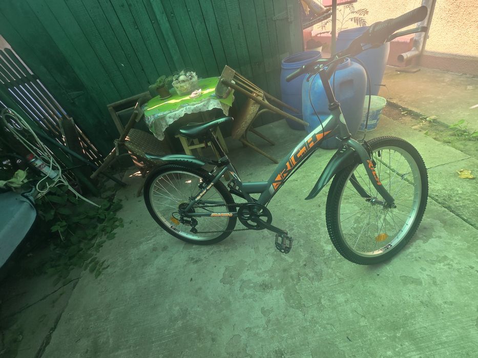 Bicicletă Rich R2430A