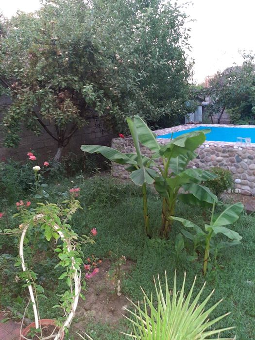 Продается красивая дача