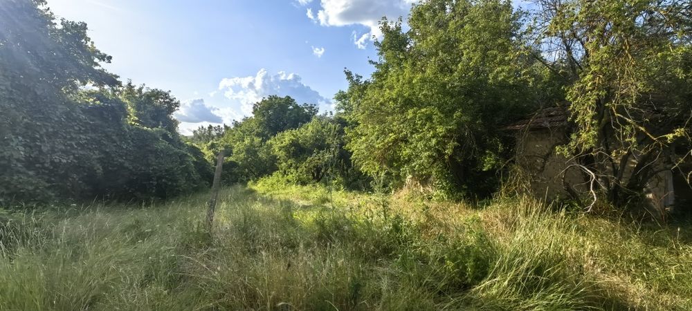 Къща с голям двор 3200 кв.м и река с. Новосел, обл. Шумен