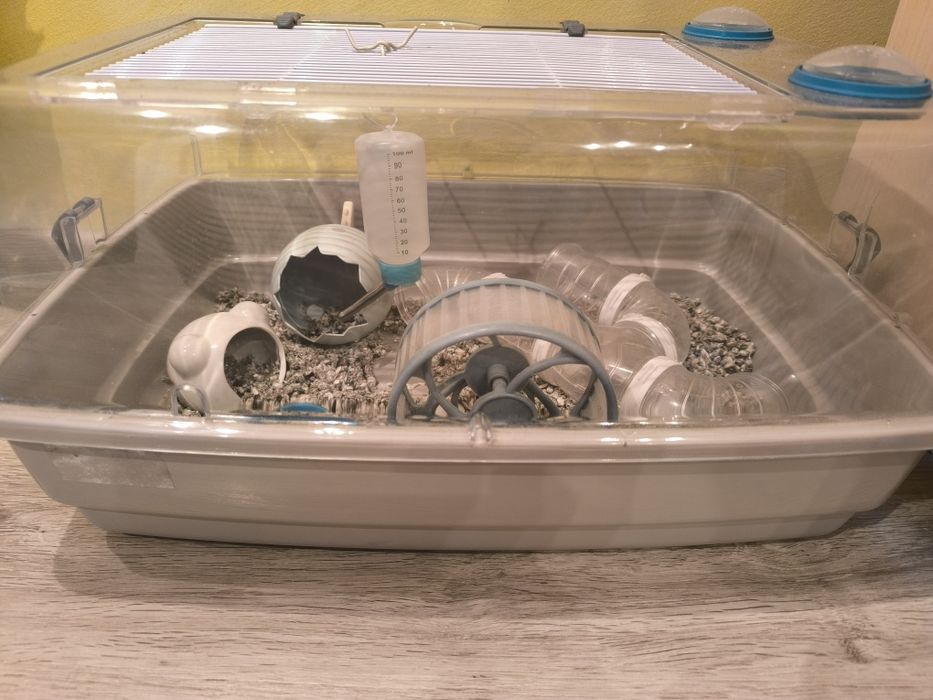 Hamster jucăuș caută o nouă căsuță!