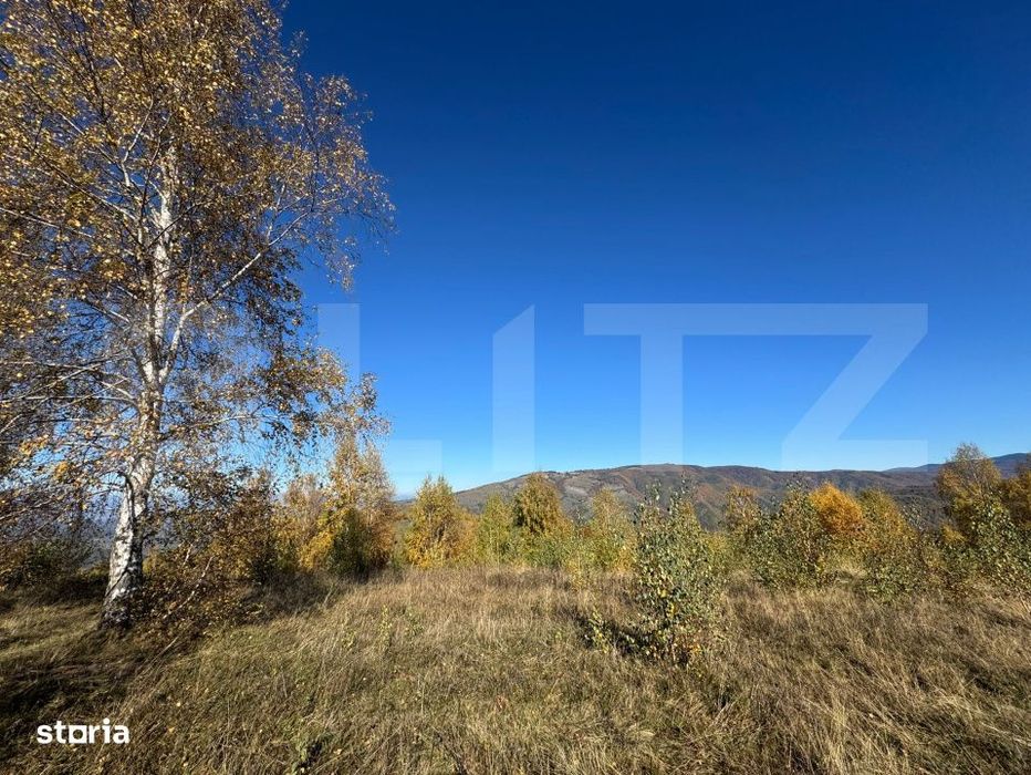 Teren extravilan de  17.183 mp in Tarsa