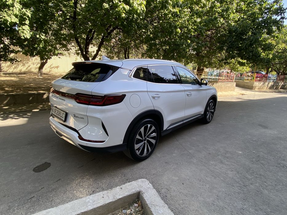 BYD chepiyon 2023