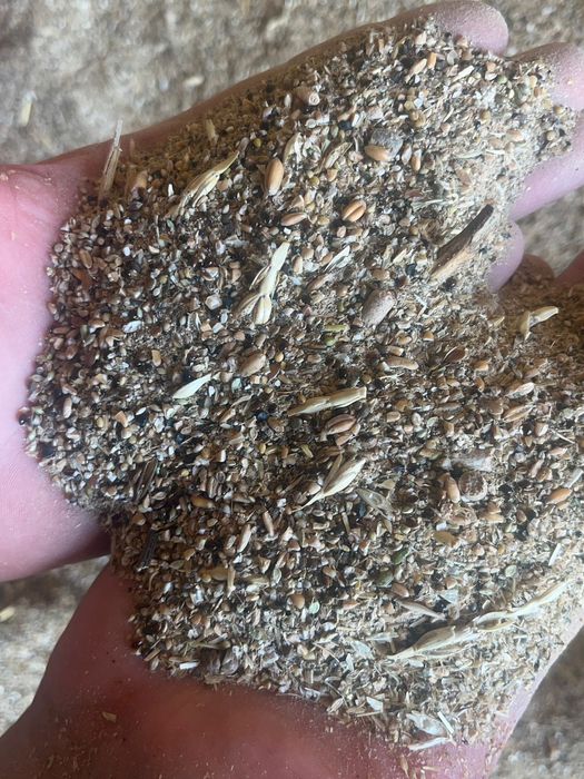 Продам зерноотходы