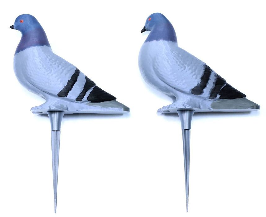 Подсодные голуби для охоты