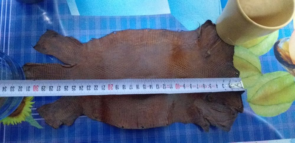 Piele varan 100% originala