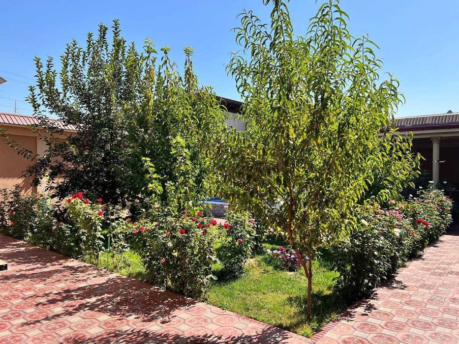 Уч Кахрамонда ховли сотаман. 5 сот. продаю участок со всеми удобствами