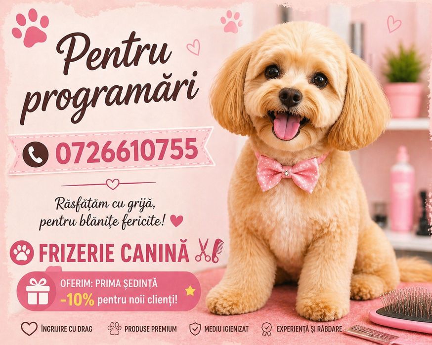 Servicii tuns caini / pisici