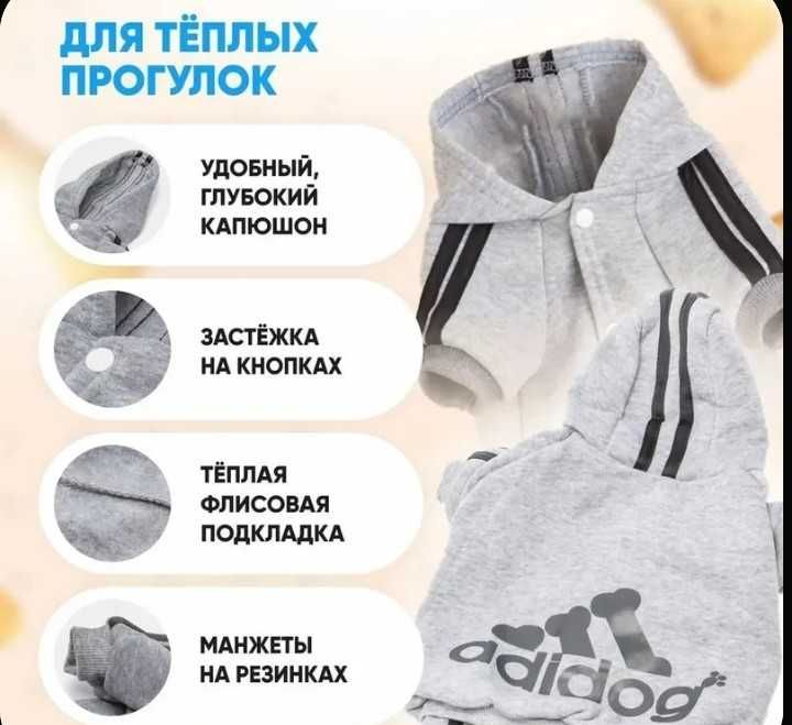 Одежда для собак