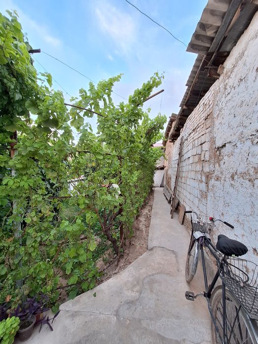 YER narxida HOVLI sotiladi