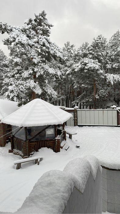 Дом в лесу Боровое