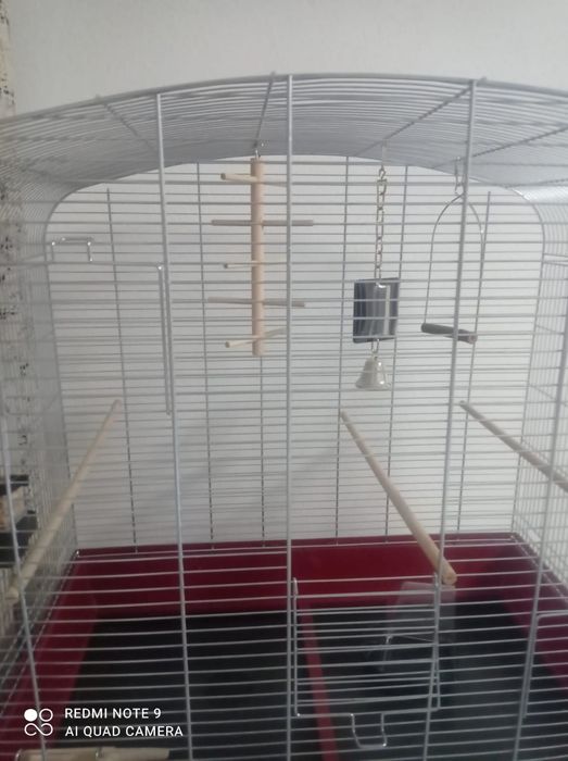 Colivie pasari  neutilizata