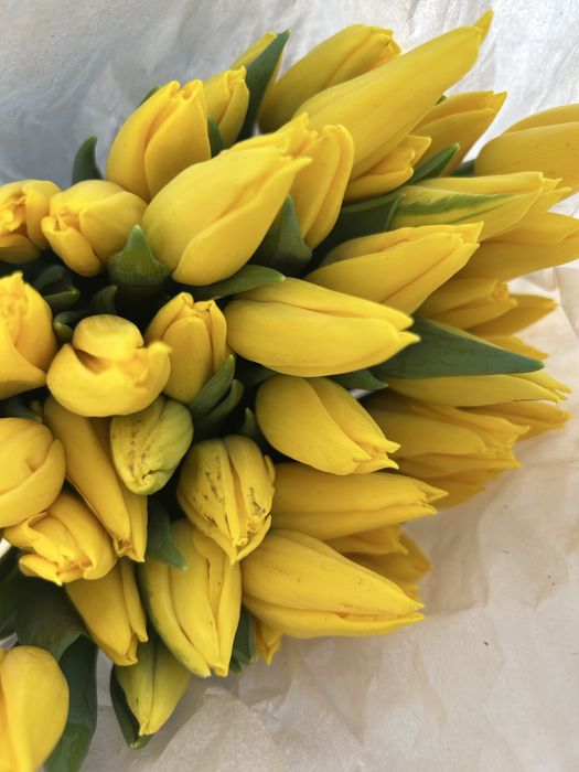 Тюльпаны 750 доставка по городу