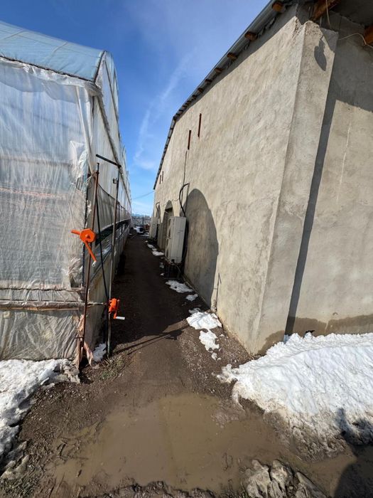 Дайын жылыжай бизнесі сатылады!