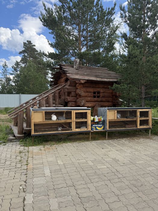 Арендуем домики