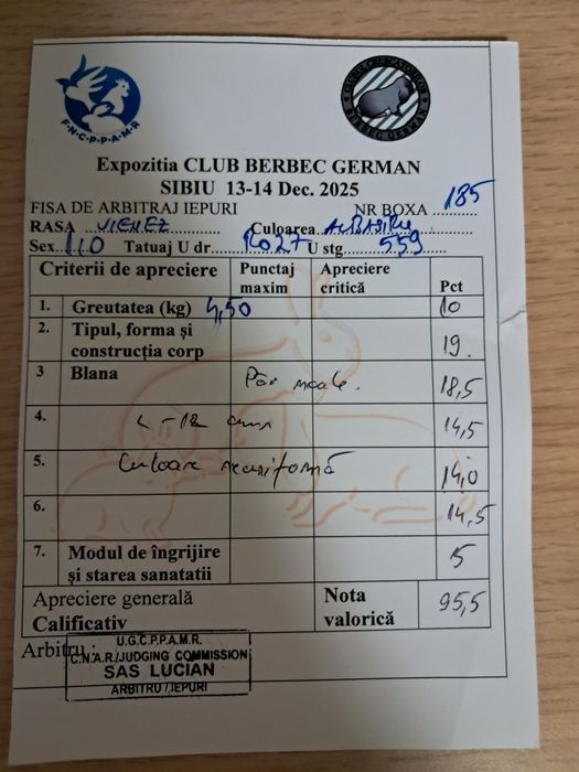 Vând mascul vienez albastru