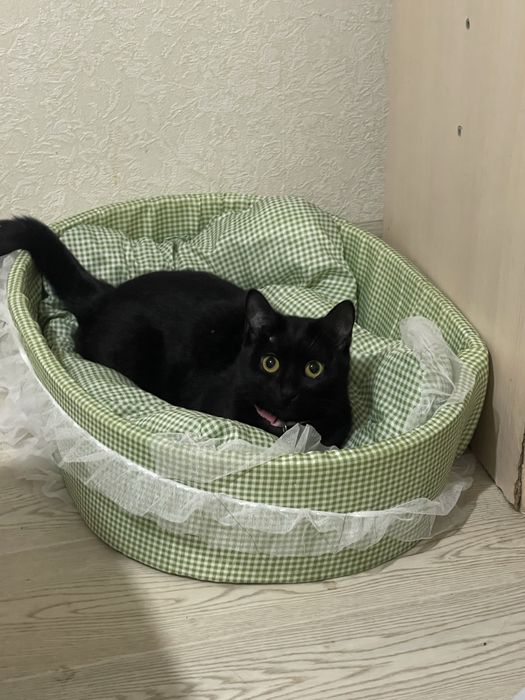 Лежак для животных