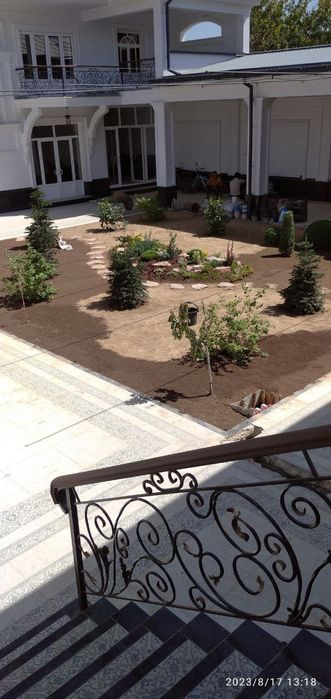 Gazon ruloniy yevro urugʻ