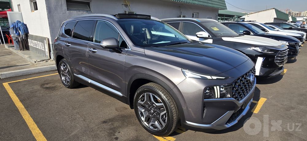 Hyundal SantaFe full
