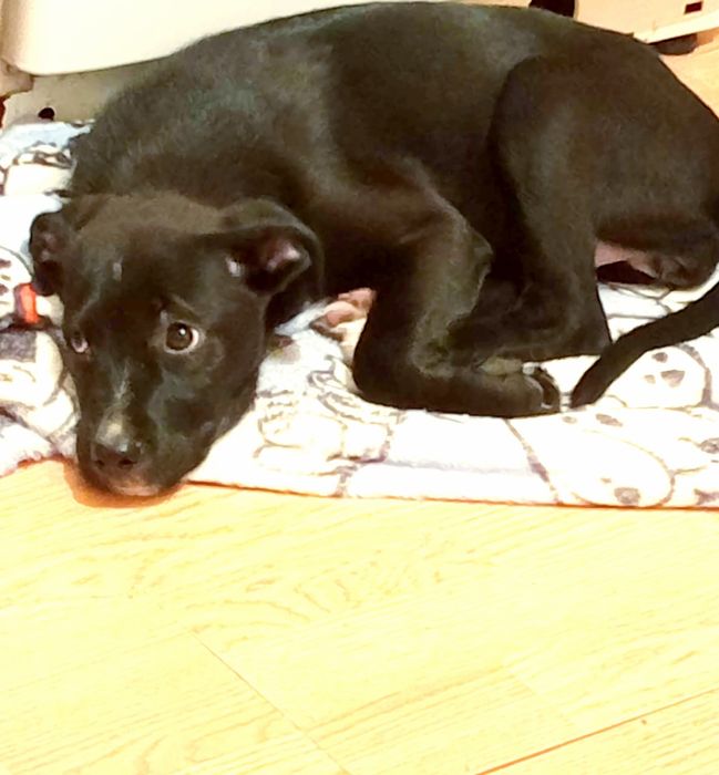 Маленькая сладость