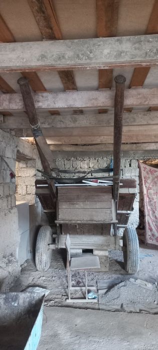 Ot arava xolat zor ozmiz uchun yasatgandki