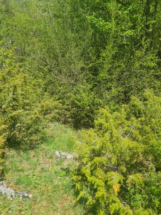 Продавам земеделска земя в с.Турян  1425 кв.м. на 10 км.от Смолян