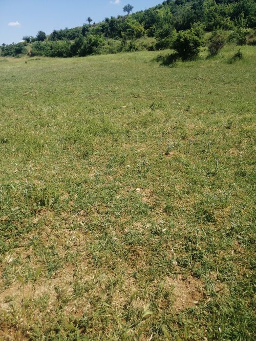 Продавам земеделска земя