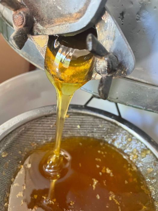 Miere polifloră Bacău