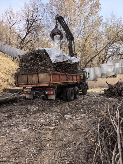 Спил деревьев Алматы