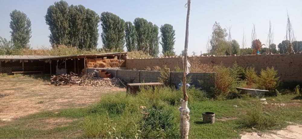 Yangiyulda uchastka sotiladi