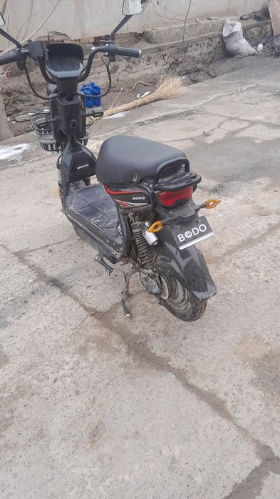 Yangi va arzon squter