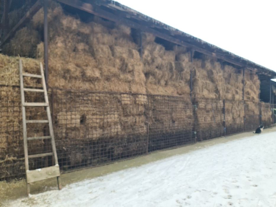 Vind baloti de lucerna