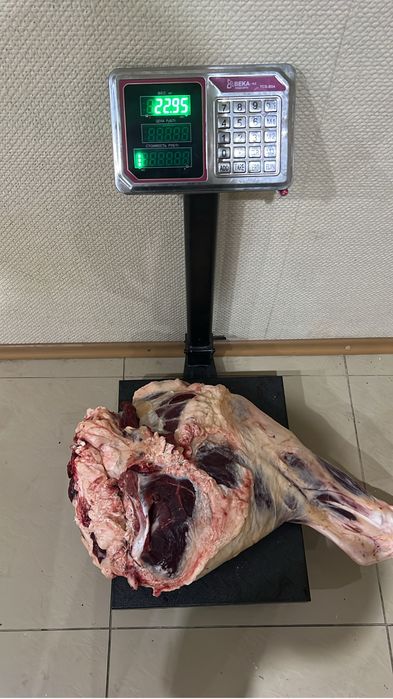 Продам мясо говядины тушами