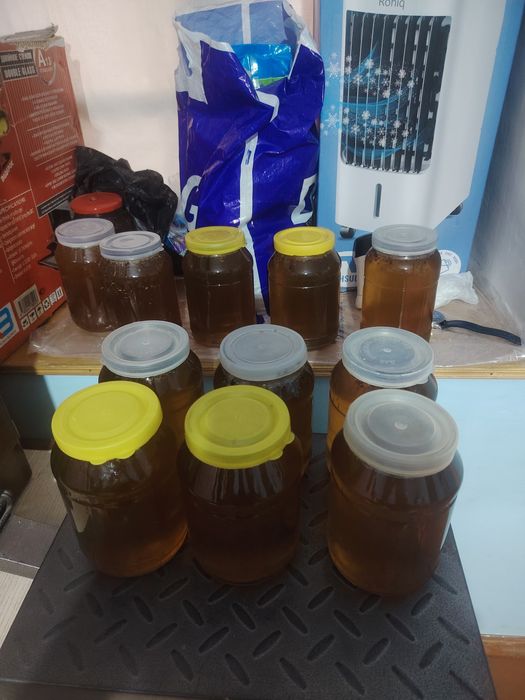 Tozza Burchumulla tog asali