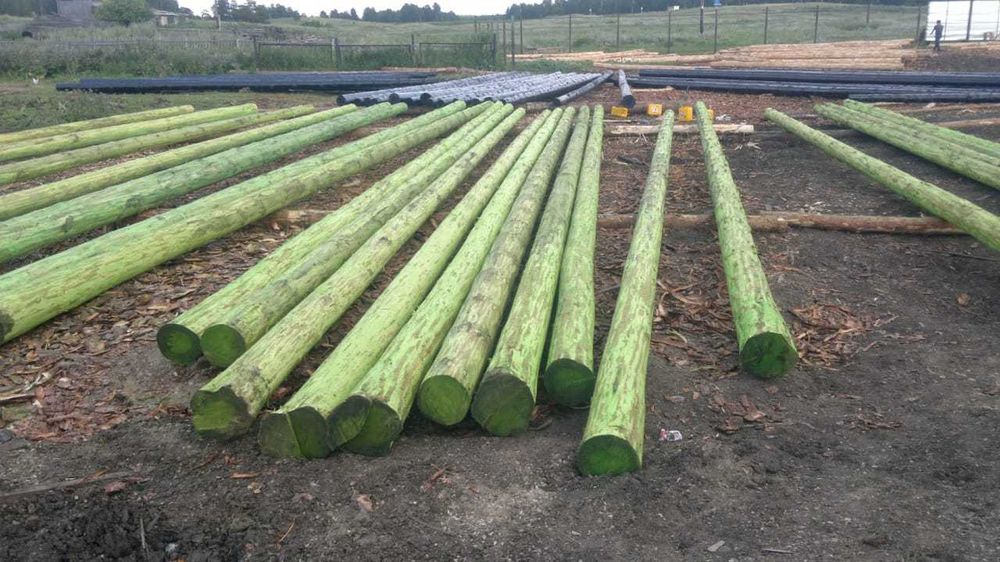 Деревянные опоры для ЛЭП и пиломатериалы