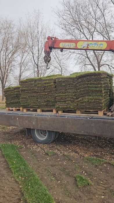 Мвнипулятор услуги