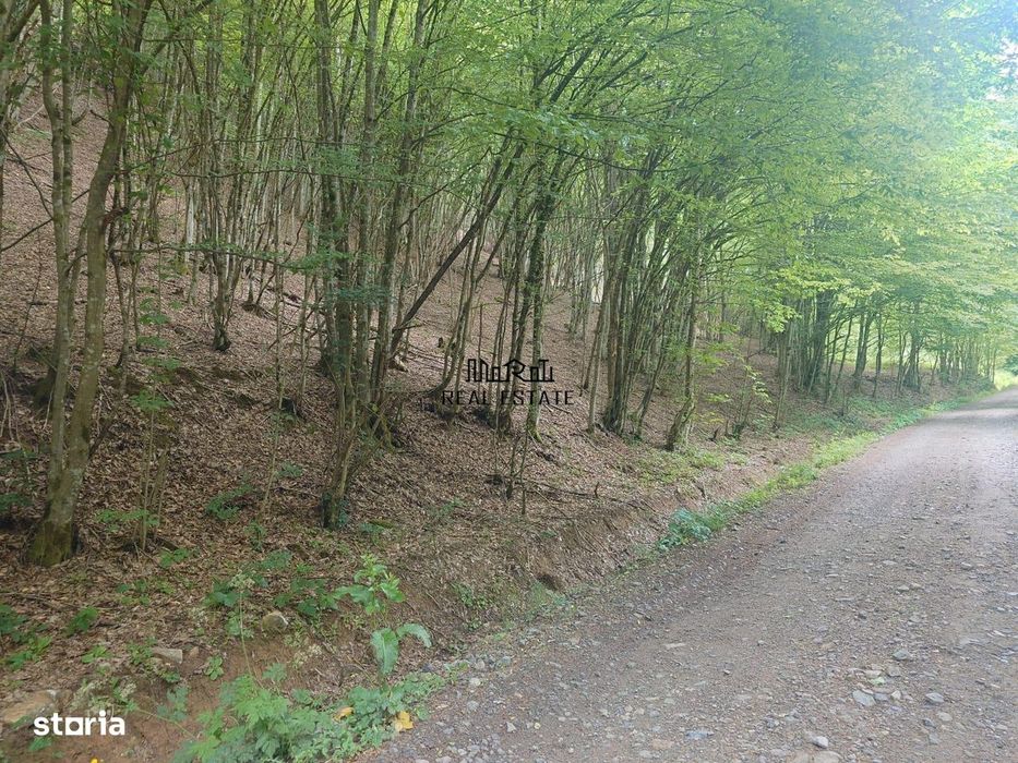 Teren in Bulzestii de Sus 3700mp