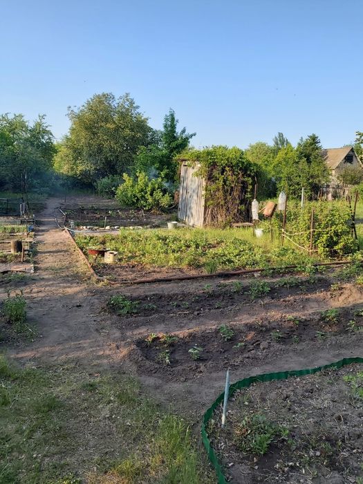 Продам дачу в обществе "Горизонт" 11 соток