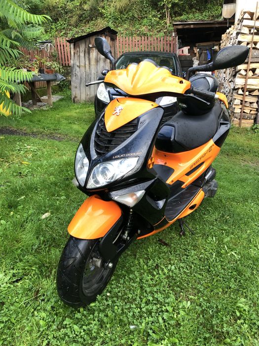 Peugeot 49 cm 2009